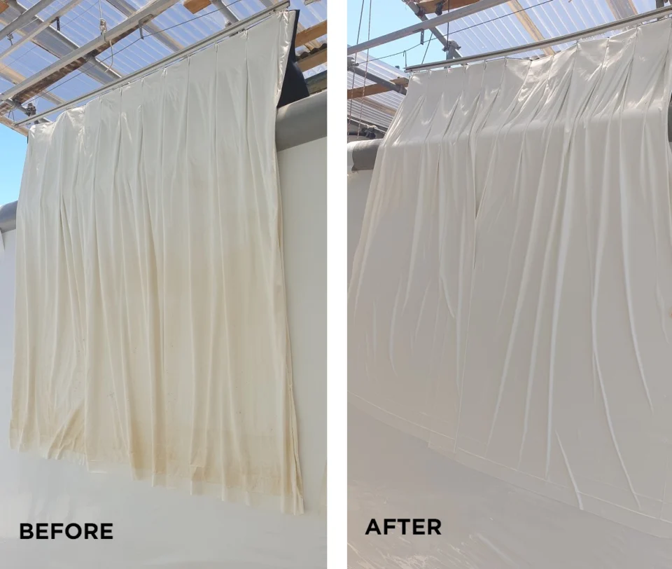 Before & After (5)