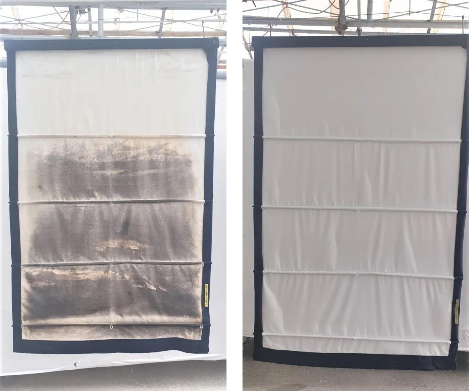 Before & After (6)